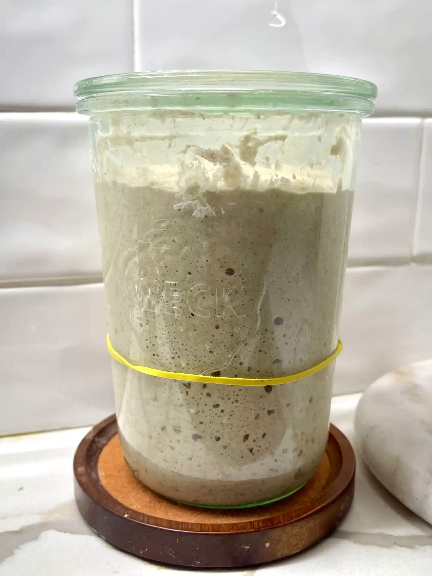sourdough starter