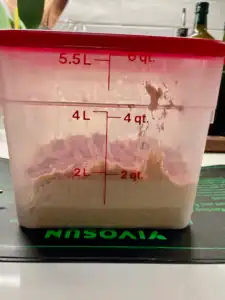 Sourdough Bulk Fermentation