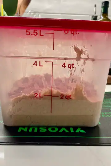 Sourdough Bulk Fermentation