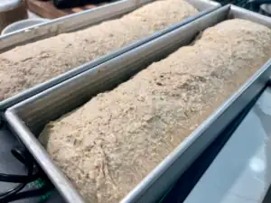 Tangzhong sourdough sandwich bread ready to go into the oven