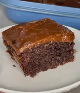 Moist Chocolate Cherry Cake made with Fresh-Milled Flour