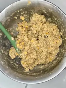 Oatmeal Scotchie Cookie Dough